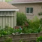 Cedar Gables Bed & Breakfast