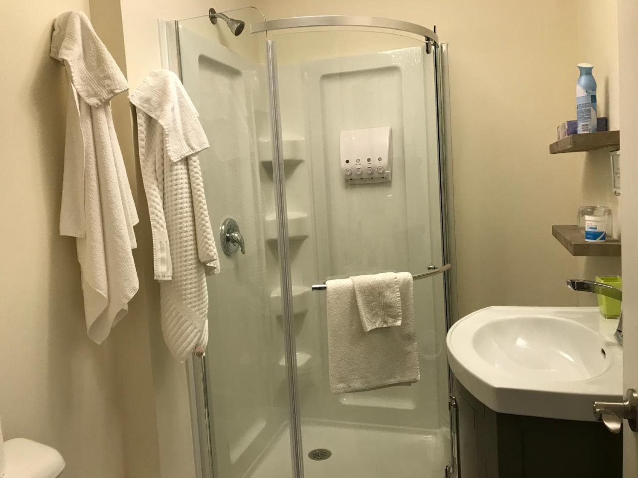 Guest house Shakespeare Licence Zero 2020