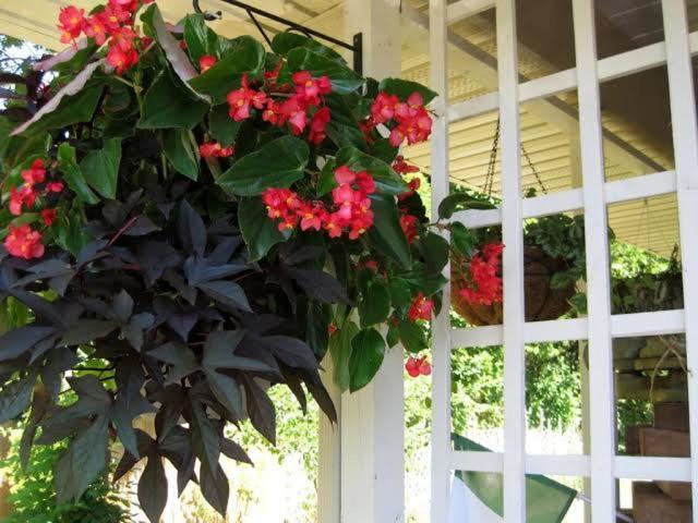 Via Veneto - Old Town Bed & Breakfast Niagara-on-the-Lake